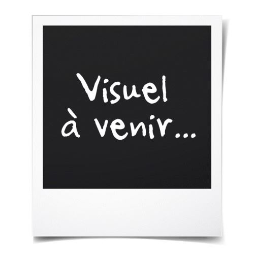 D.i.y with toga lot de 12 mini seaux galvanisés