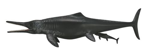 Collecta Temnodontosaurus de DINOSAURES