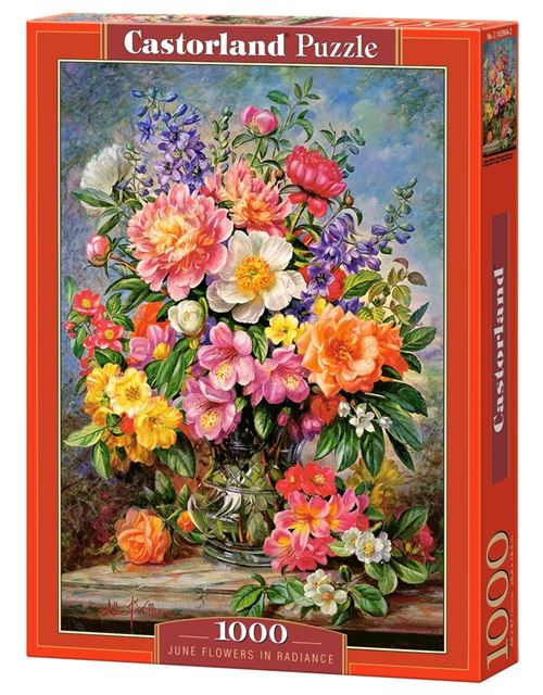 Castorland casse-tête Puzzle Fleurs de juin en Eclat 1000 pièces