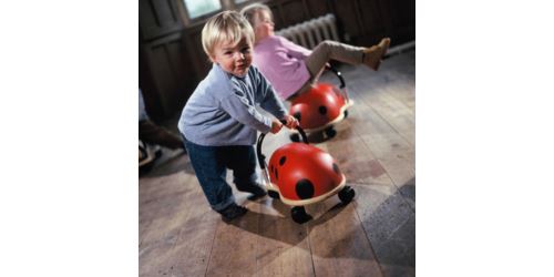 Trotteur coccinelle wheely bug cheap