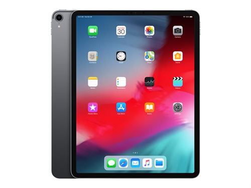 Apple iPad Pro 256 Go WiFi Gris sidéral 12.9