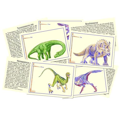 Jeu Connais-tu les Dinosaures, Jeux Français 