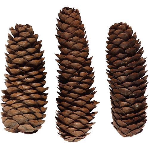 Creotime pommes de pin 4 cm 14 pièces marron