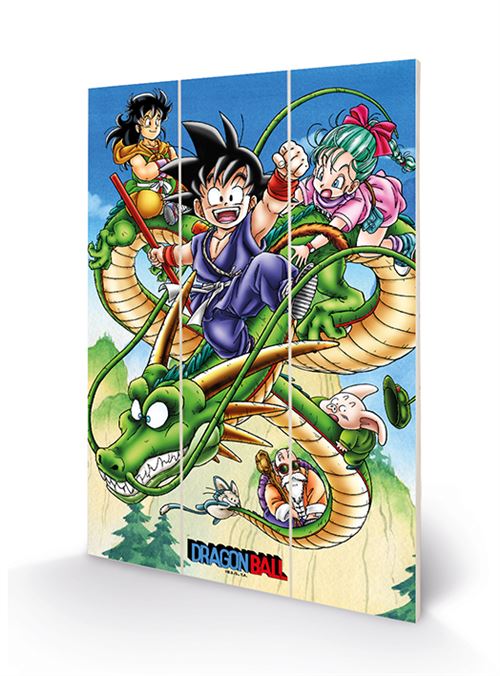 DRAGON BALL Z - Soaring Through the Sky - Impression sur bois 20x29.5