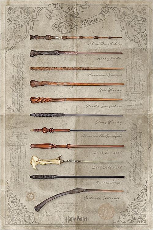 Harry Potter Maxi Poster 61 x 91,5 cm The Wand Chooses The Wizard