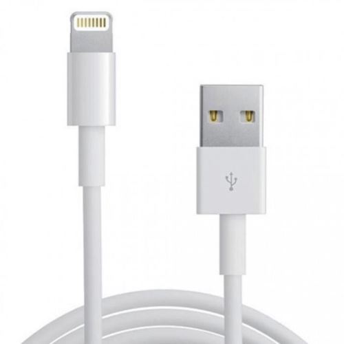 Câble Lightning vers USB Blanc 1 m Pour Apple iPad