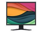 EIZO FlexScan S2134 - Écran LED - 21.3" - 1600 x 1200 @ 60 Hz - IPS - 500 cd/m² - 1600:1 - 6 ms - DVI-D, VGA, DisplayPort - noir