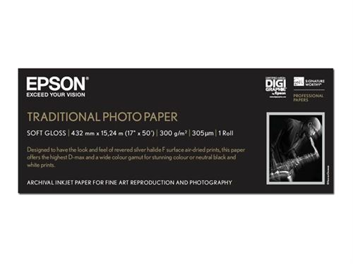 Epson Traditional Photo Paper - Rouleau (43,2 cm x 15 m) - 300 g/m² - papier photo - pour SureColor P5000, P800, SC-P10000, P20000, P5000, P7500, P900, P9500