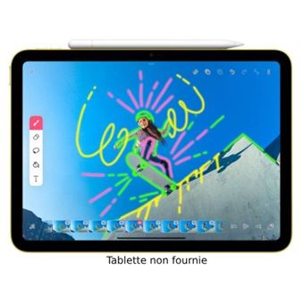 Stylet Apple Pencil USB-C - Stylets pour tablette - Achat & prix