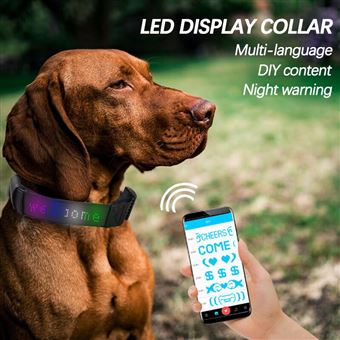 Harnais pour chien à LED Harnais pour chien à LED Modes d