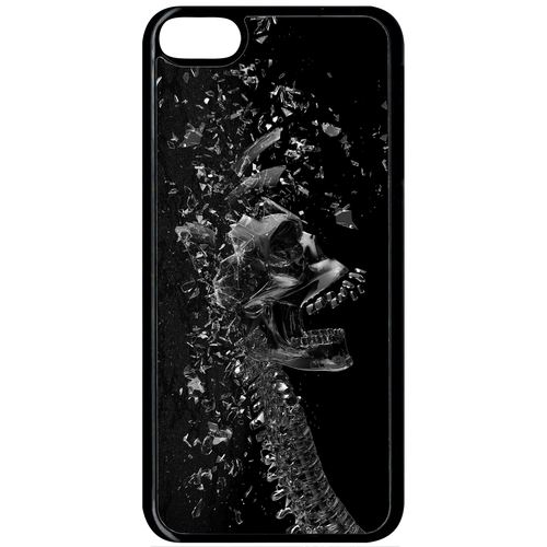 Coque Apple Ipod Touch 6 Squelette Verre Bris
