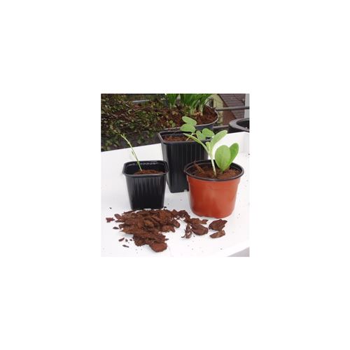 mini-serre - pack germination - pack bouturage lot de 20 pots bouturage polystyrene7x7x6cm