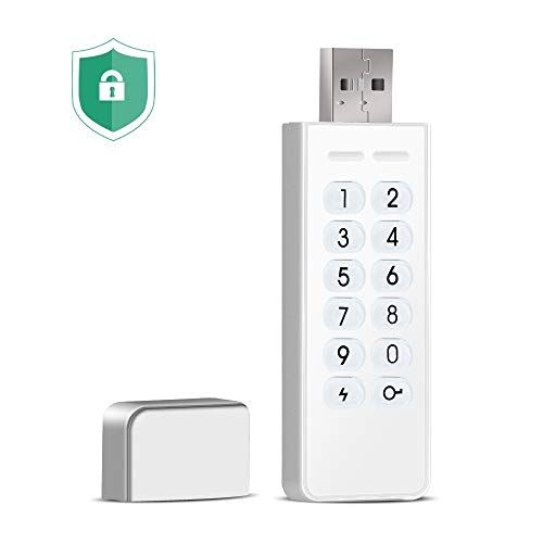 Lepin 32 Go Clé USB 2.0 Chiffrée AES XTS 256 bits(Blanc)