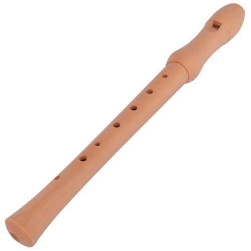 vidaXL Flûte Bois d'érable 8 trous Marron