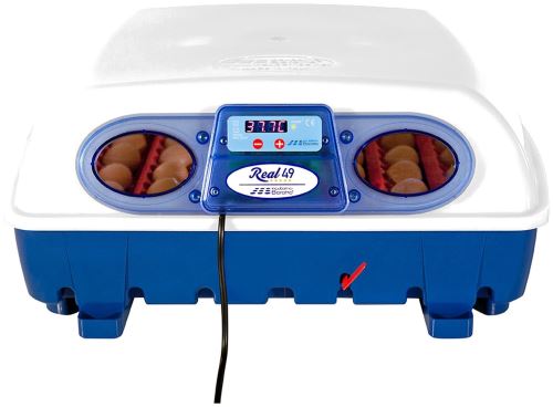 Meilleurs prix pour Borotto real 49 graines numérique automatique professionnel