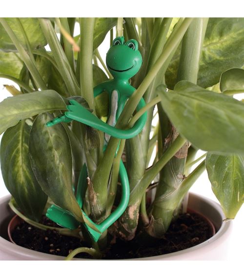 Attache-plantes forme grenouille - lot de 2