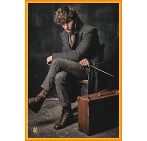 Poster Encadre Les Animaux Fantastiques Les Crimes De Grindelwald Newt Scamander 91x61 Cm Cadre Plastique Orange Poster Affiche Encadre Top Prix Fnac
