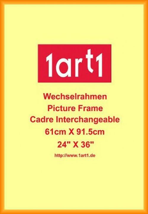 Poster Encadre Les Animaux Fantastiques Les Crimes De Grindelwald Newt Scamander 91x61 Cm Cadre Plastique Orange Poster Affiche Encadre Top Prix Fnac