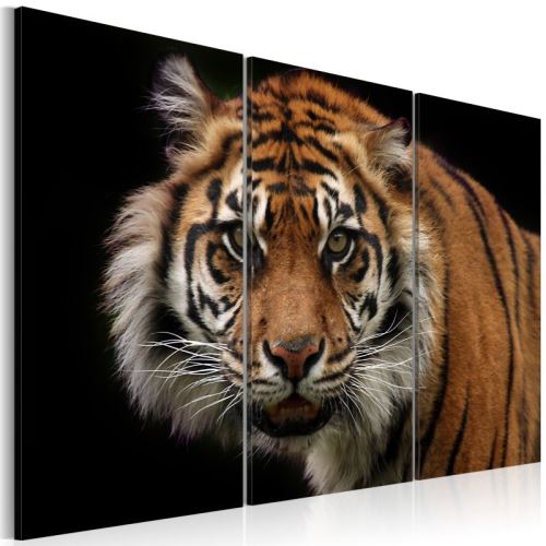 Tableau - Tigre prédateur .Taille : 90x60