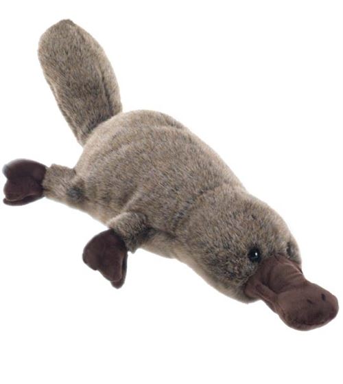Peluche ornithorynque 50 cm