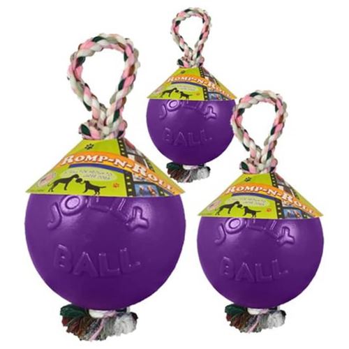 Meilleurs prix pour Jolly Pets Balle pour chiens Romp-n-Roll 10 cm Violet