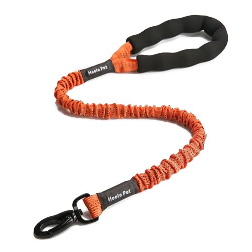 Meilleurs prix pour Laisse HEELE PET durable pour chien - Orange (Taille: 120cm)