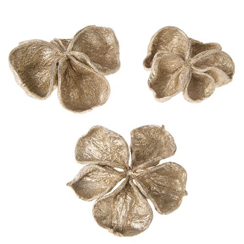 Champagne séché, 4pcs.