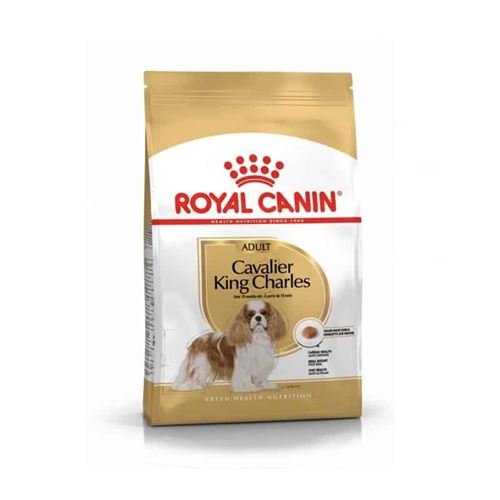 Royal Canin Cavalier King Charles Adult - Croquettes pour chien-Cavalier King Charles