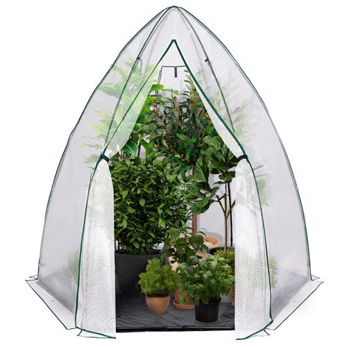 Serre hivernage grand format pour plantes