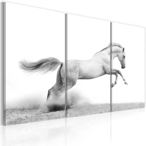 Tableau - Cheval au galop .Taille : 90x60