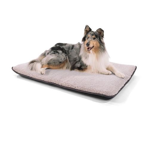 Lit pour Chien - Brunolie Finn - Inodore, hygiénique et antidérapante - Taille M (100 x 70 x 5 Cm) - Beige