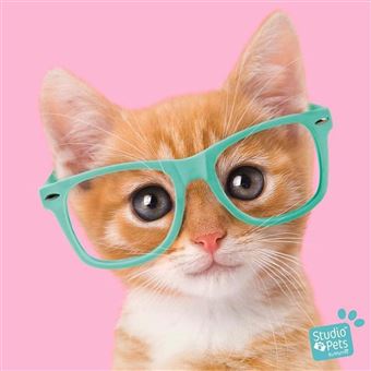 STUDIO P POCH 10 FEUTRE POINTE FINE