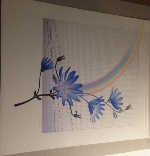 Rainbow 2 - Edition Esch - 50x60 cm - AFFICHE / POSTER