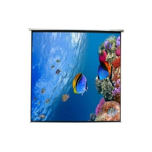 Ecran mural electrique approx! appp240e (240 x 240 cm)