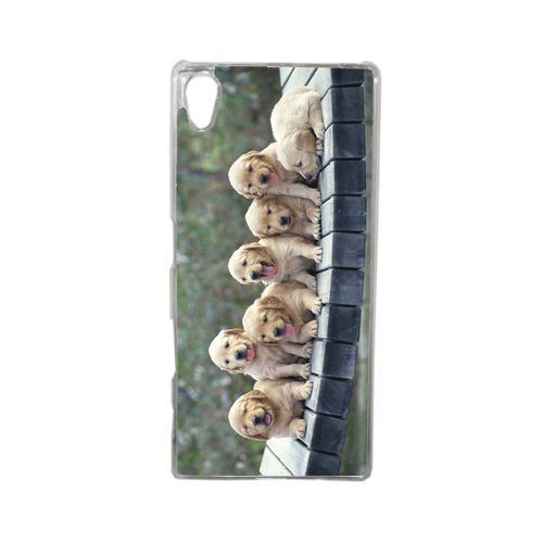 Coque chiots golden retriever compatible sony xperia z5 transparent