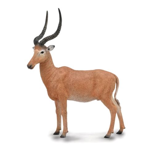 Figurine hirola figurines collecta