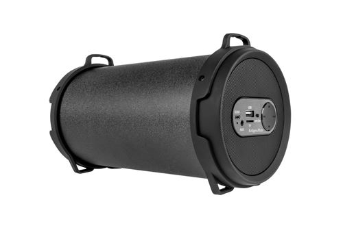 Krüger & Matz km0529 portable haut-parleur Bluetooth avec son particulièrement kraftvollem au design compact avec poignée Noir