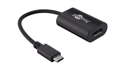 Adaptateur DisplayPort pour port USB C Goobay