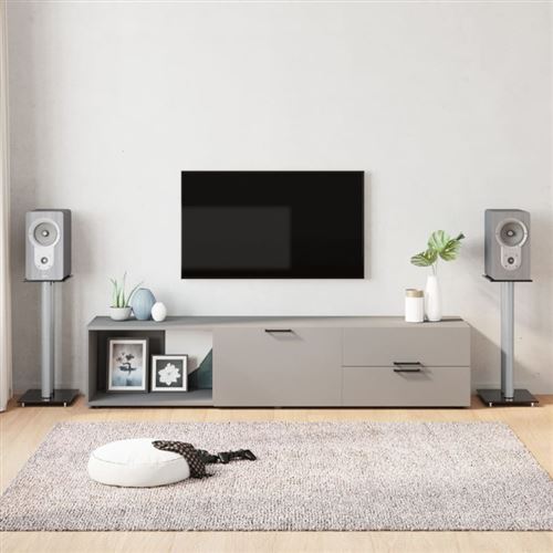 vidaXL Supports de haut-parleurs 2 pcs noir/argenté 2 piliers