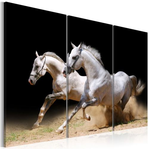 Tableau - chevaux - force et dynamique .Taille : 120x80