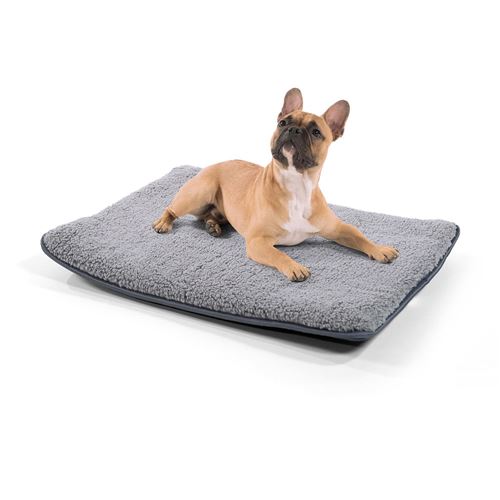 Lit pour Chien - Brunolie Finn - Inodore, hygiénique et antidérapante - Taille S (68 x 54 x 5 Cm) - Gris