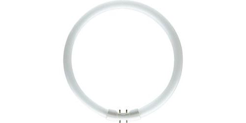 OSRAM Tube fluorescent  2GX13 40 W blanc chaud forme d'anneau 1 pc(s)