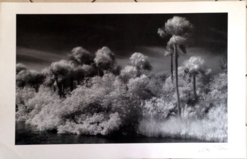 Richard Elkins - 60x91 cm - AFFICHE / POSTER