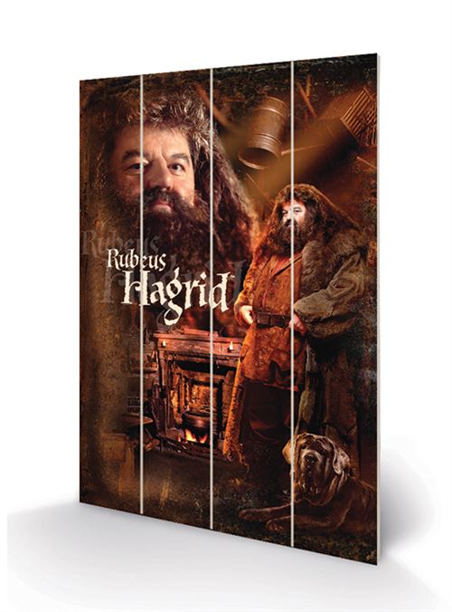HARRY POTTER - Hagrid - Impression sur bois 40x59cm