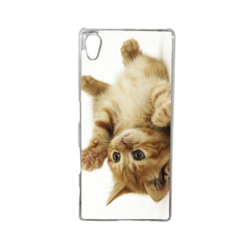 Coque petit chaton mignon compatible sony xperia z5 transparent