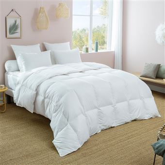 Couette 90% Duvet d'oie blanc neuf Chaude - 220/240 - DODO ...