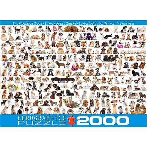  Puzzle the world of dogs multicolore adulte animaux 2000 pieces - Eurographics 
