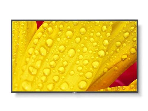 Ecran NEC MultiSync ME651 ME Series 4K UHD 65
