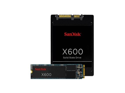 sandisk SanDisk X600