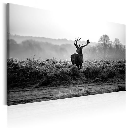 Tableau - Deer in the Wild - 120x80 Artgeist (2933)